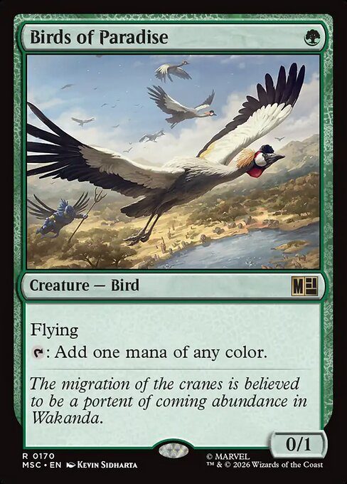 Magic: The Gathering Card Lot — 15 Bird Cards